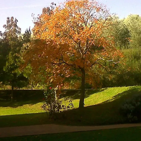 Il Cigliere Your In The Heart Of Tuscany
