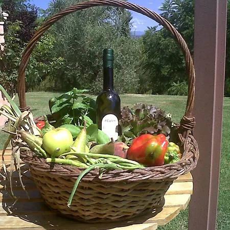Il Cigliere Your In The Heart Of Tuscany Florenz