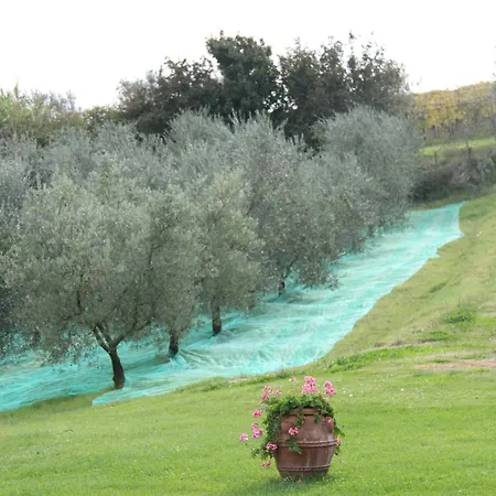 Ferienhaus Il Cigliere Your In The Heart Of Tuscany *