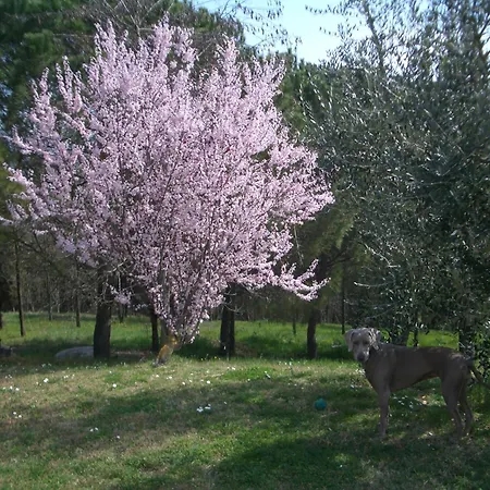 Prázdninový dům Il Cigliere Your In The Heart Of Tuscany *